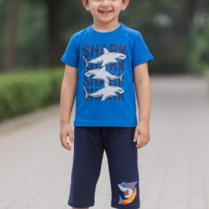 Boys Cotton T-Shirt With Capri Set (Blue)